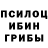 Галлюциногенные грибы мицелий shootbI4