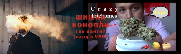 твердый Алексин